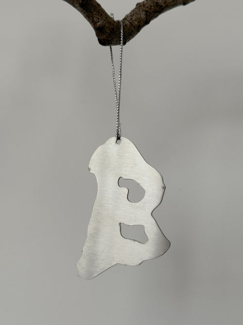 'B' Initial Decoration