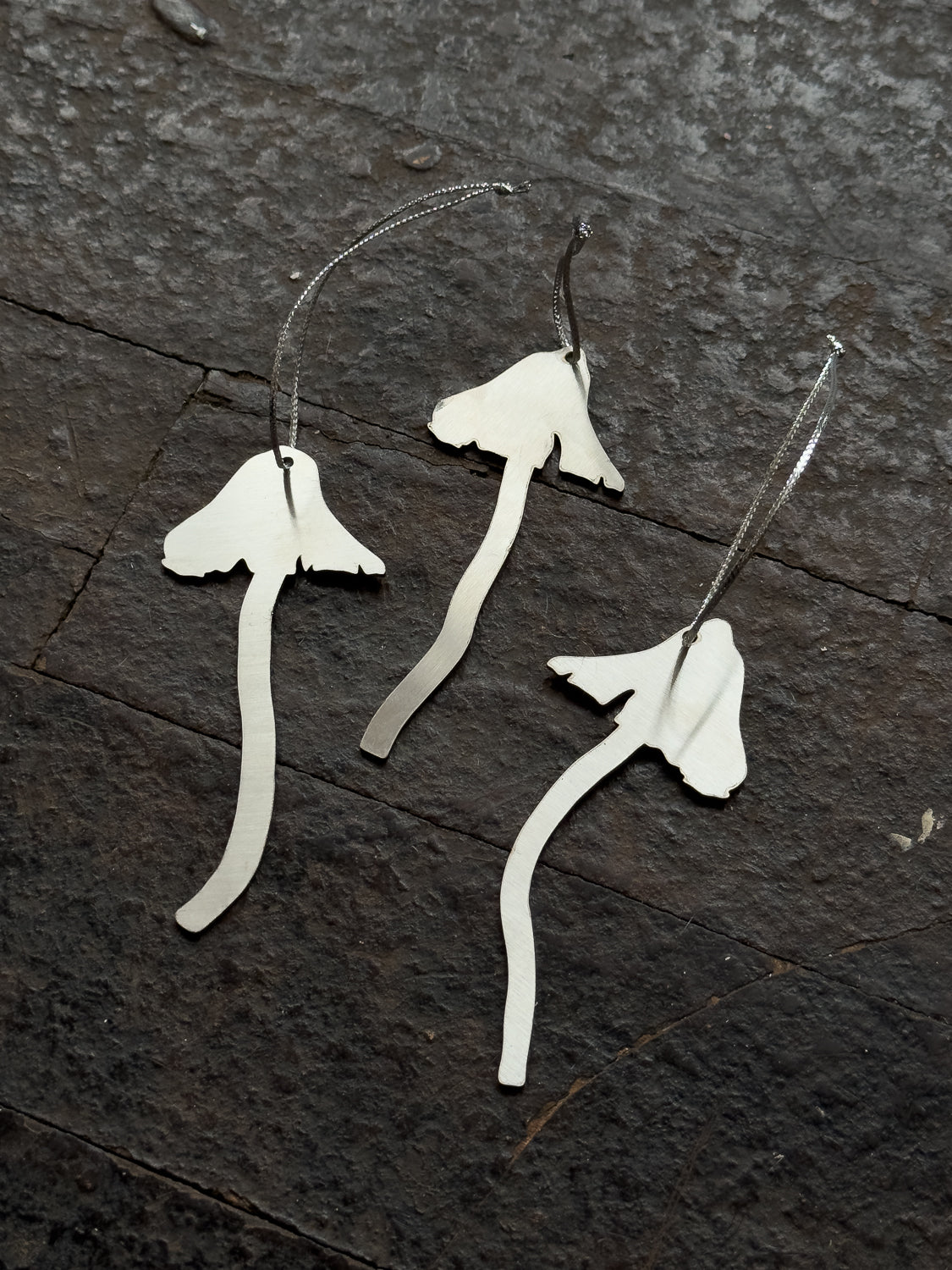 Mushrooms (Set of 3)