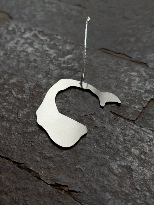 'C' Initial Decoration